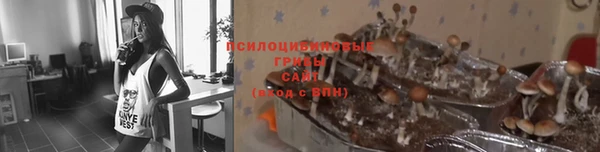 эйфоретик Пересвет